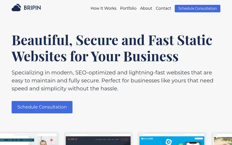 Screenshot of bripin.com