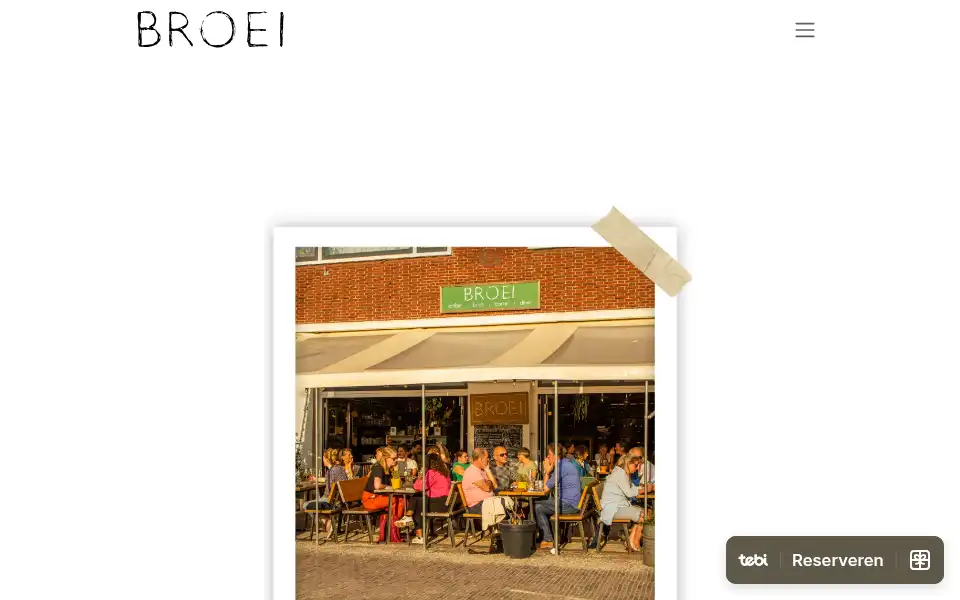 Screenshot of broei-utrecht.com