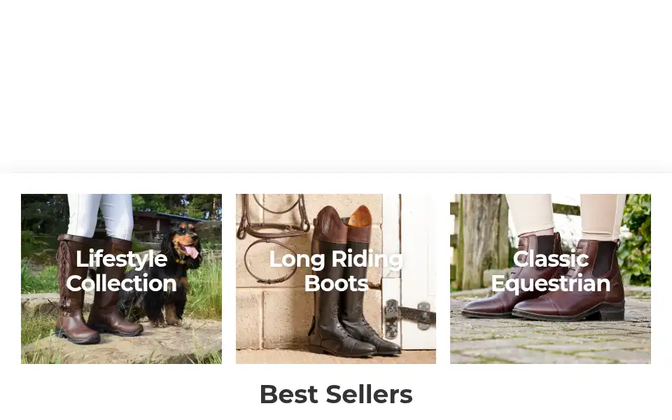 Screenshot of brogini.com