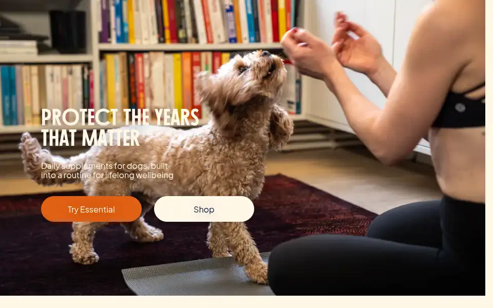 Screenshot of broono.pet