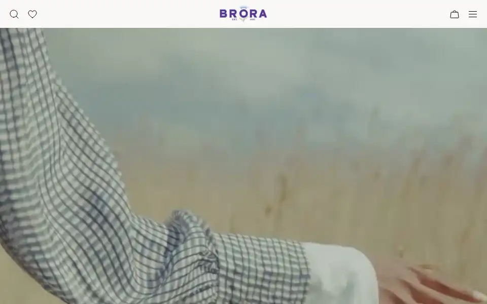 Screenshot of broraonline.com