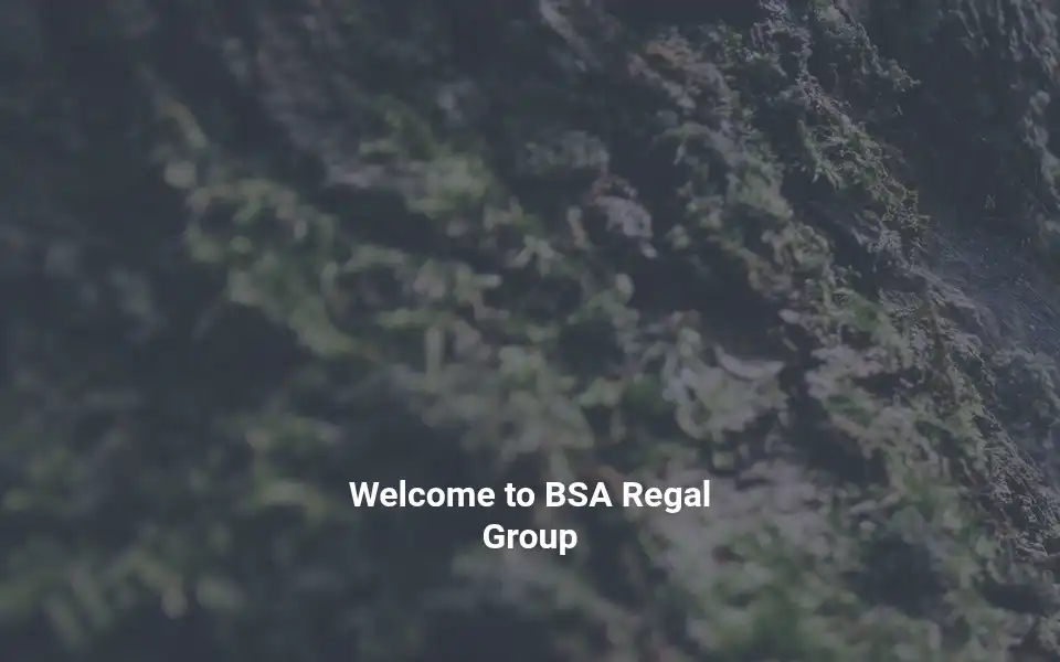 Screenshot of bsa-regal.co.uk