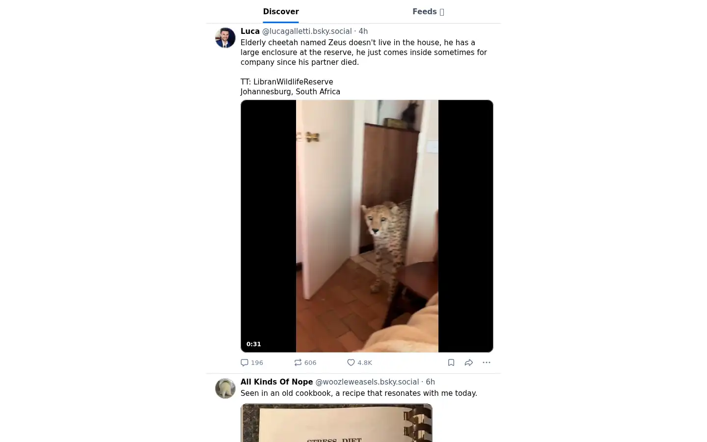 Screenshot of bsky.app