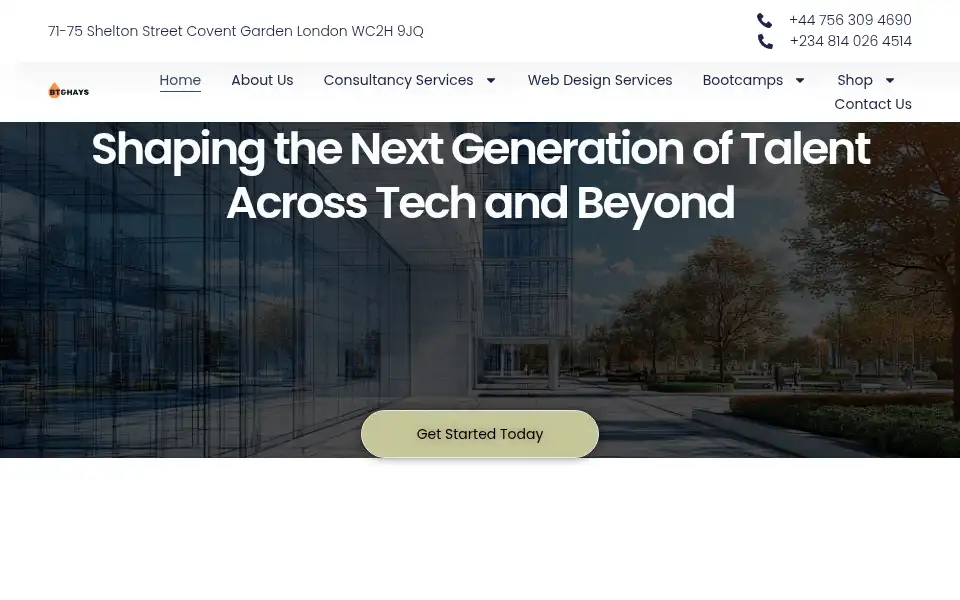 Screenshot of btandhays.com