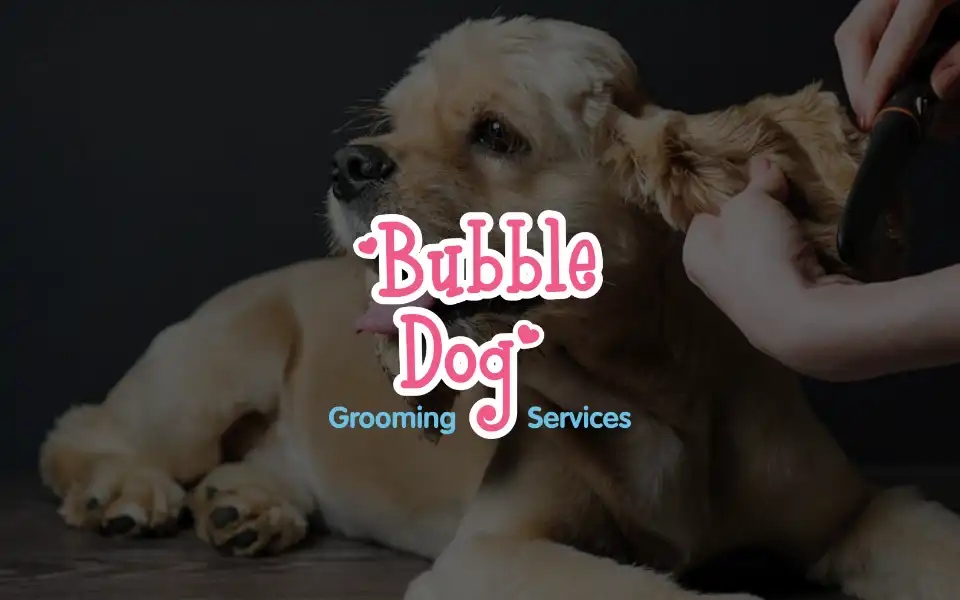 Screenshot of bubbledoggrooming.com.au