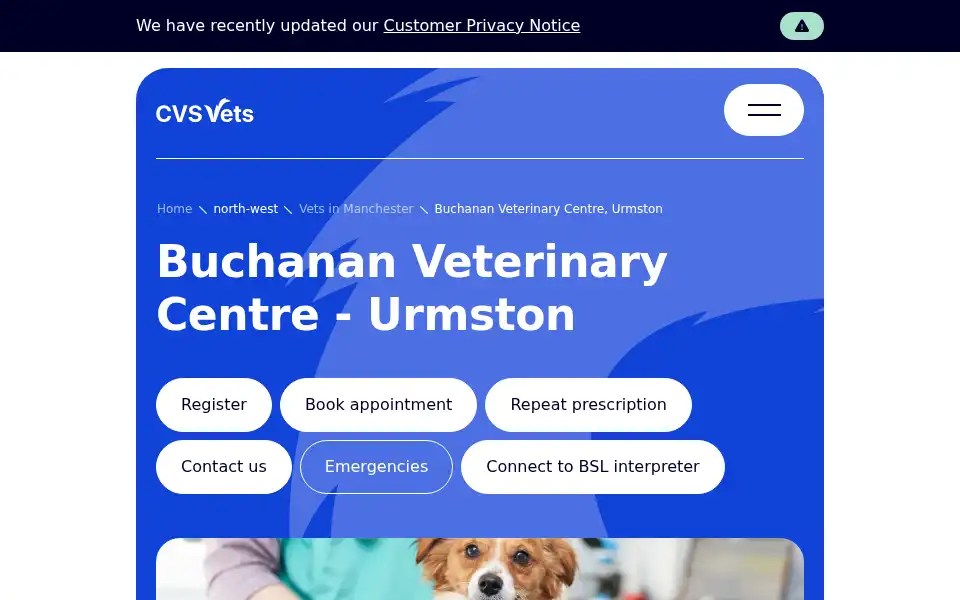 Screenshot of buchananvetgroup.co.uk