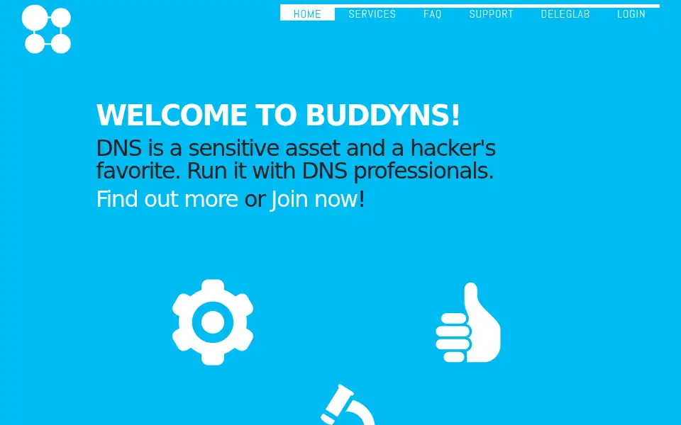 Screenshot of buddyns.com
