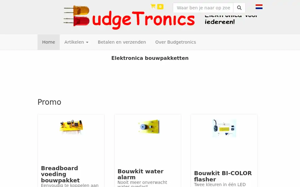 Screenshot of budgetronics.eu