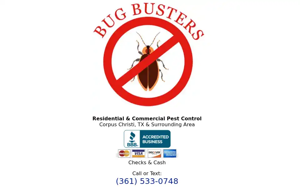 Screenshot of bugbusterpestcontrol.com