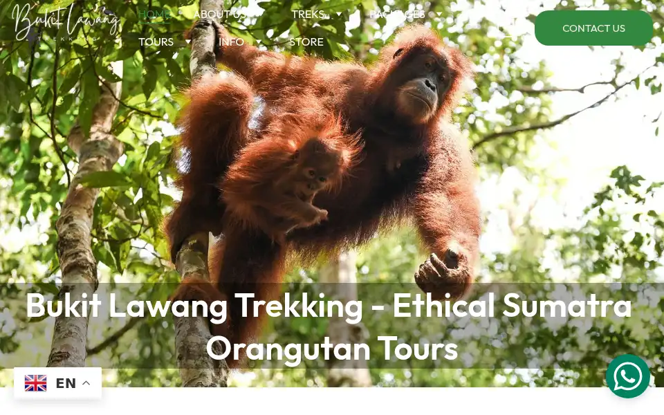 Screenshot of bukitlawangtrekking.com