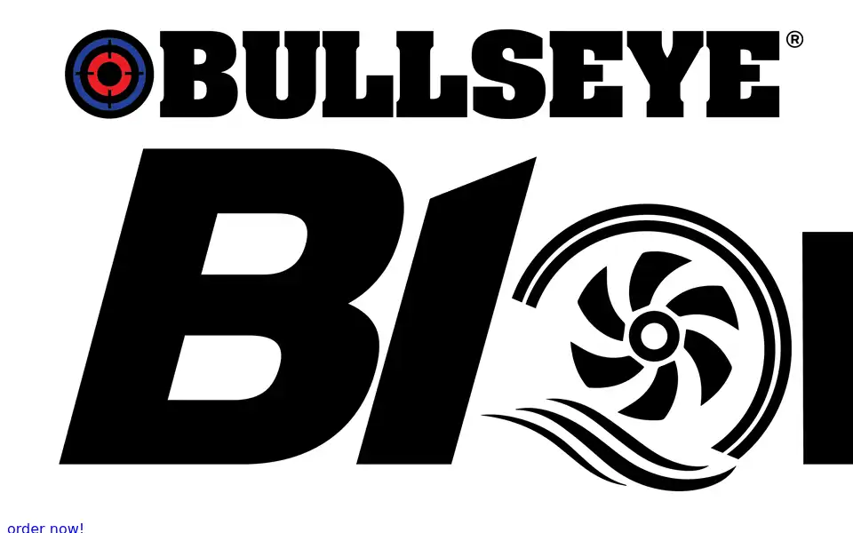Screenshot of bullseyeblower.com