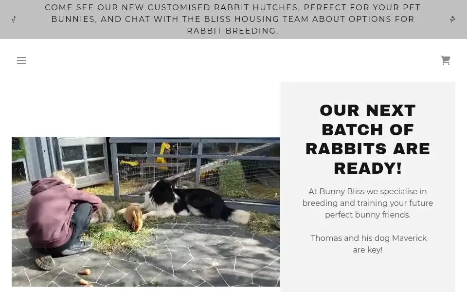 Screenshot of bunnybliss.co.uk