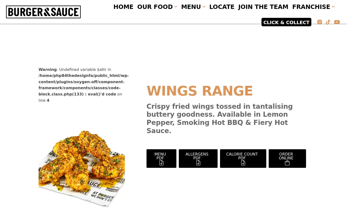 Screenshot of burgerandsauce.com