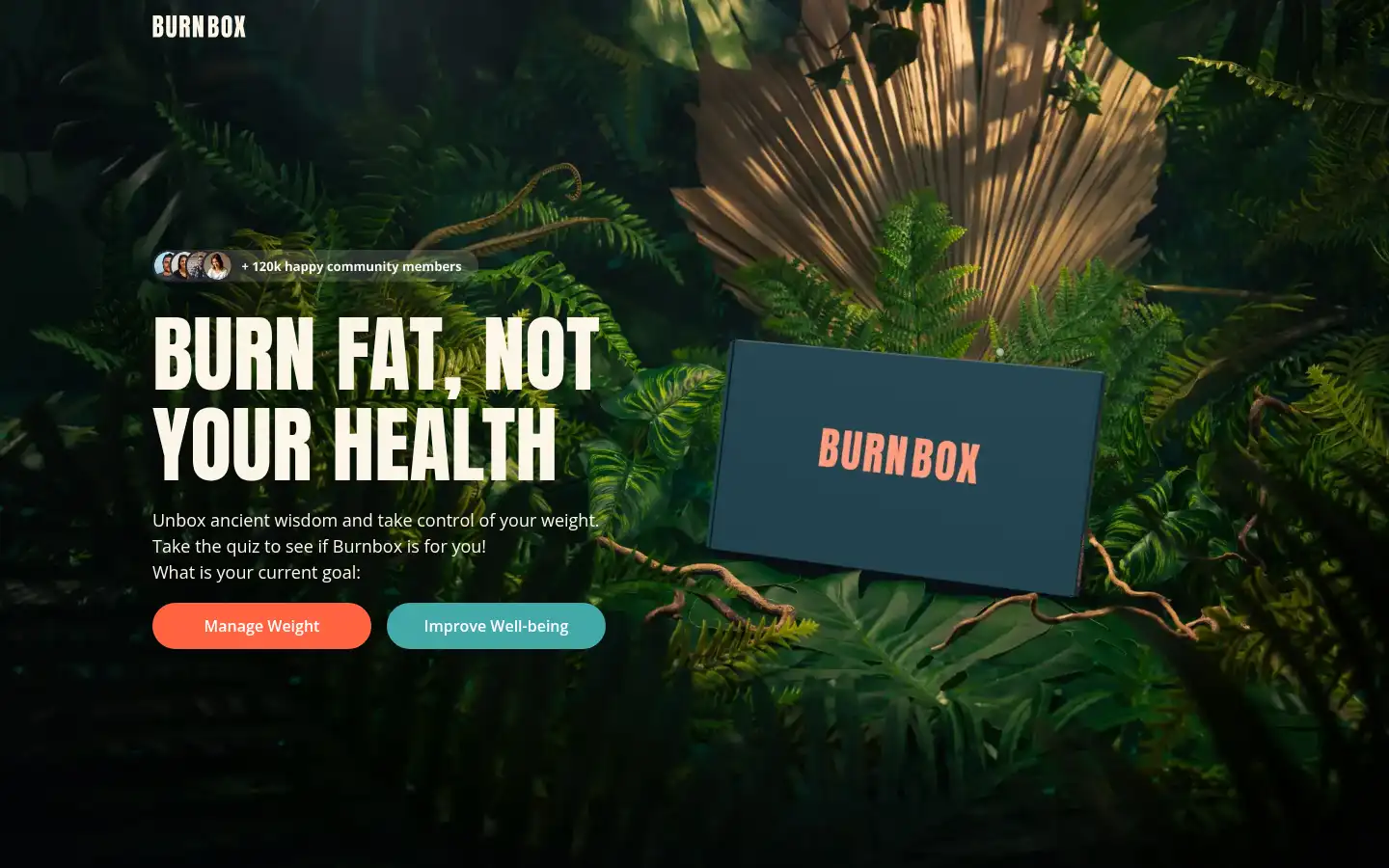 Screenshot of burnbox.health