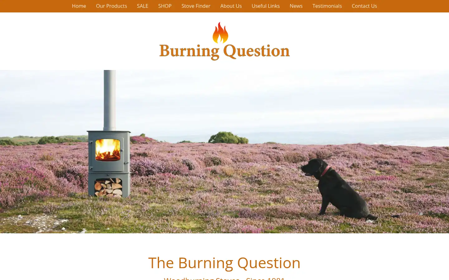 Screenshot of burningquestion.co.uk