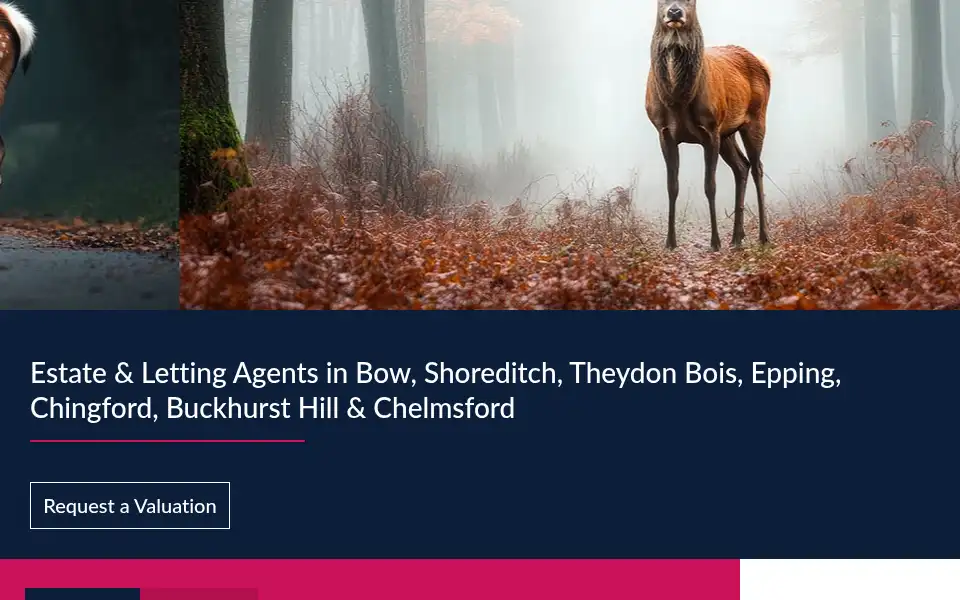 Screenshot of butlerandstag.uk