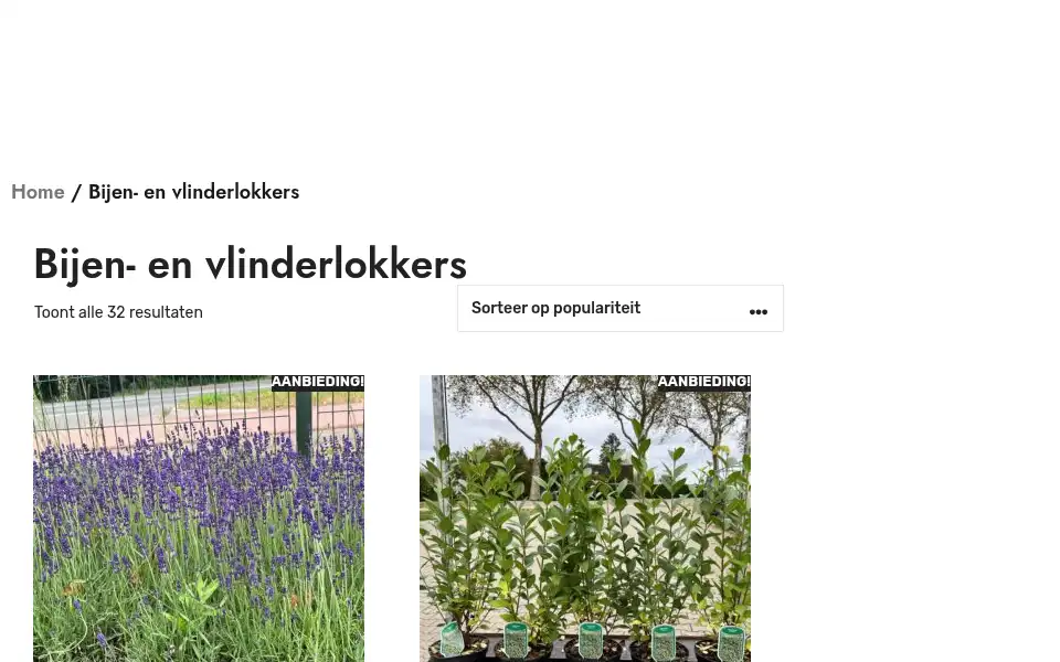 Screenshot of buxuskoning.nl