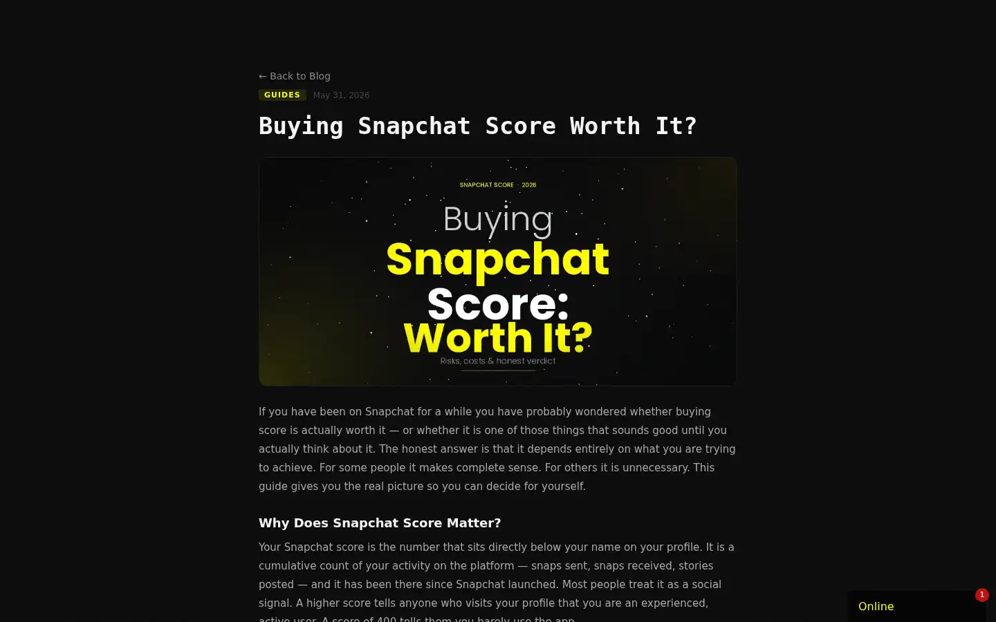 Screenshot of buysnapchatscore.com