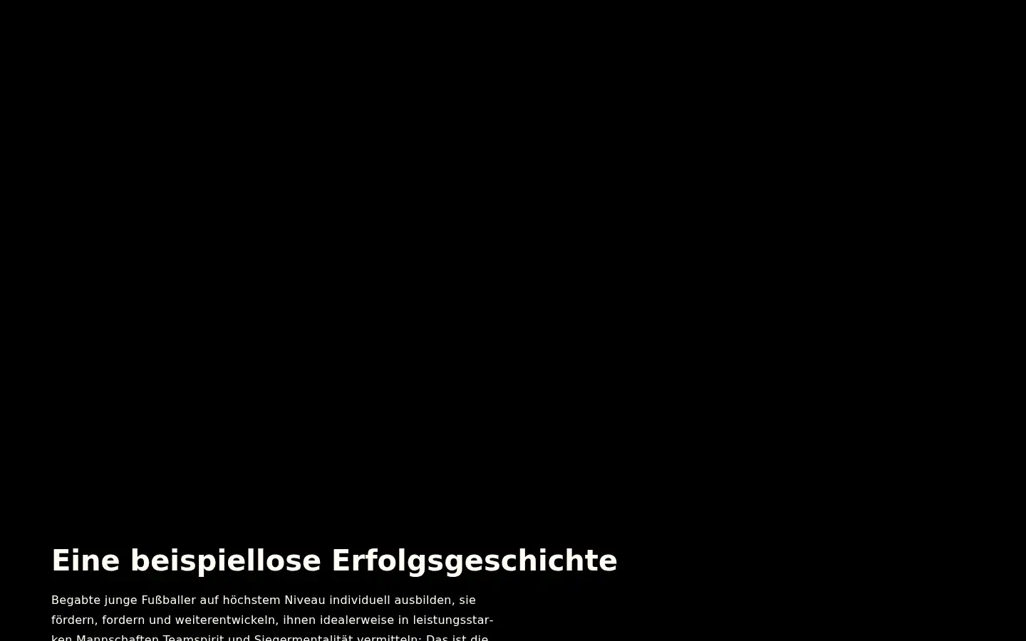Screenshot of bvb.de