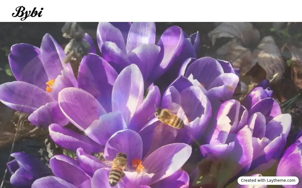 Screenshot of bybi.dk