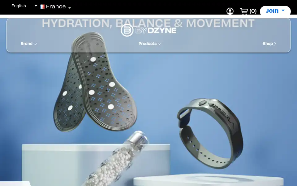 Screenshot of bydzyne.com