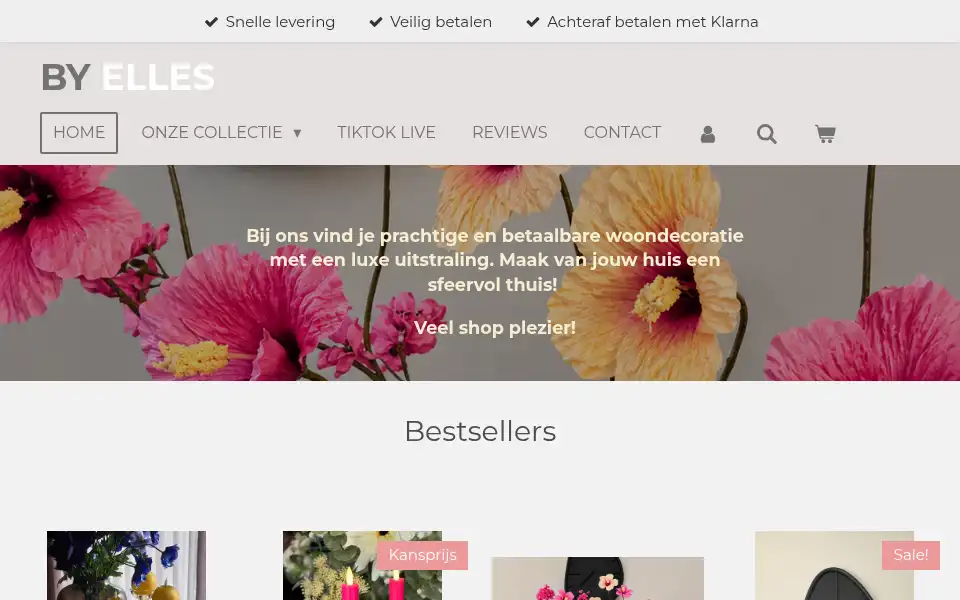 Screenshot of byelles.nl