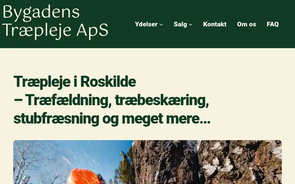 Screenshot of bygadenstopkapning.dk