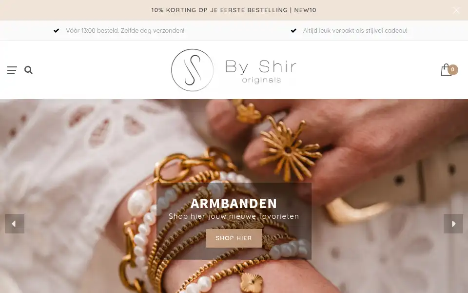 Screenshot of byshir.com