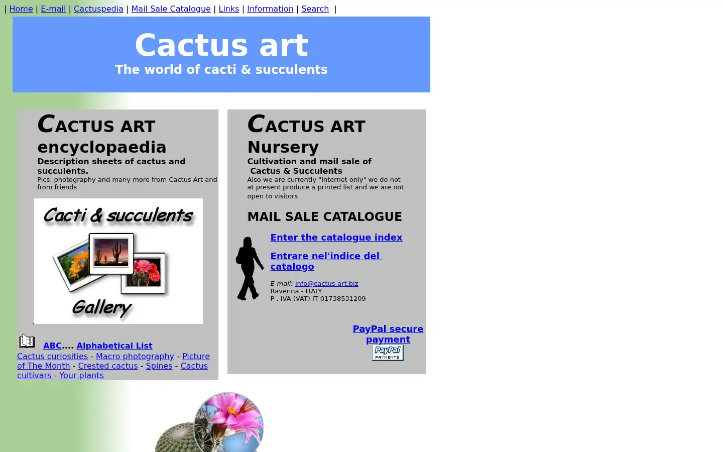 Screenshot of cactus-art.biz