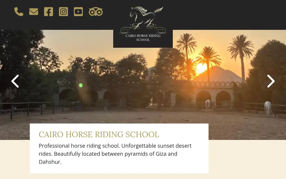 Screenshot of cairohorse.com