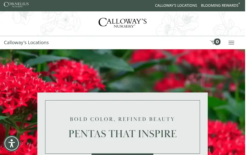 Screenshot of calloways.com