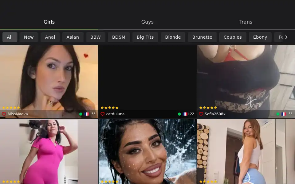 Screenshot of camonster.com