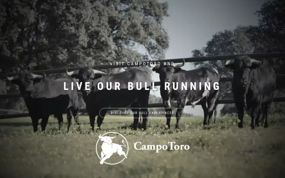 Screenshot of campotoro.es