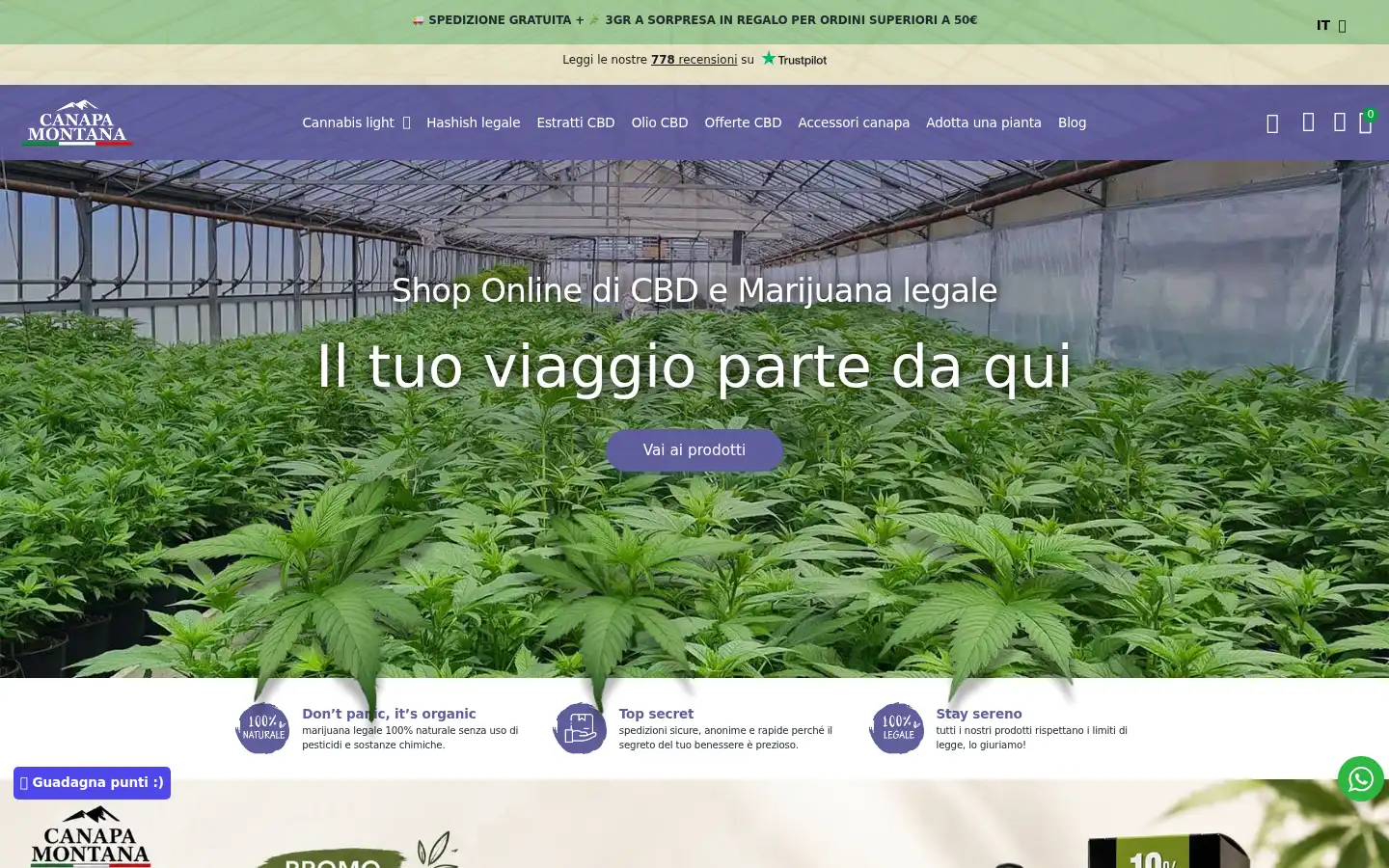 Screenshot of canapamontana.it