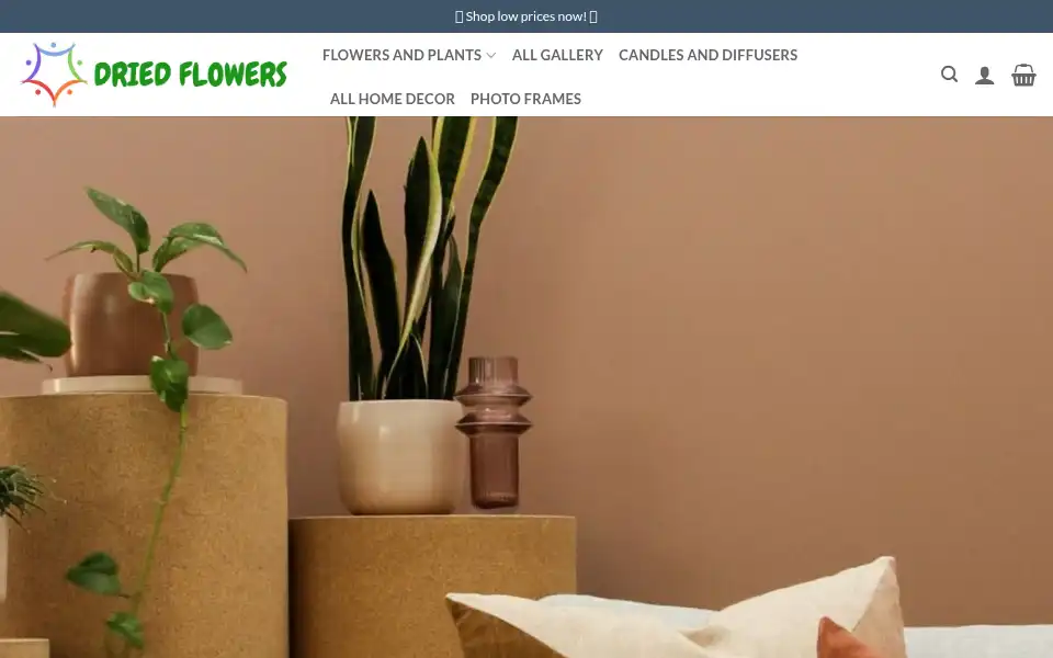 Screenshot of candlesonshops.com