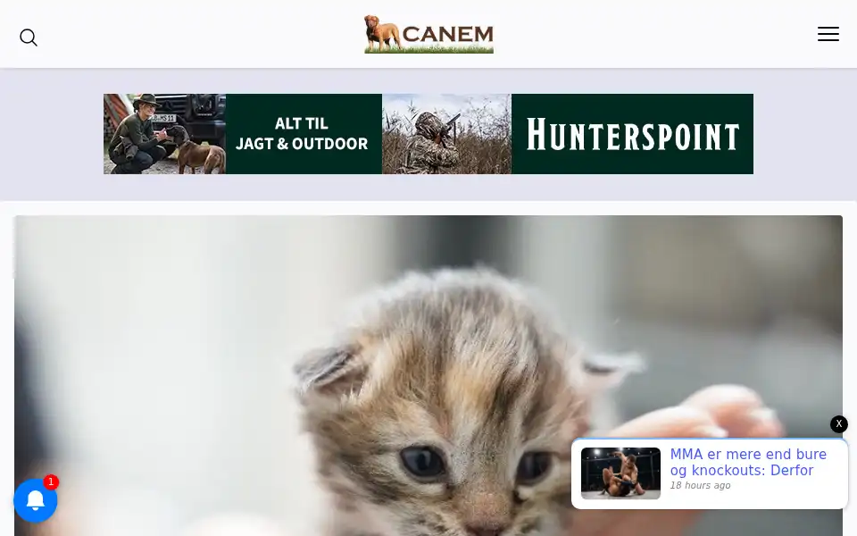 Screenshot of canem.dk