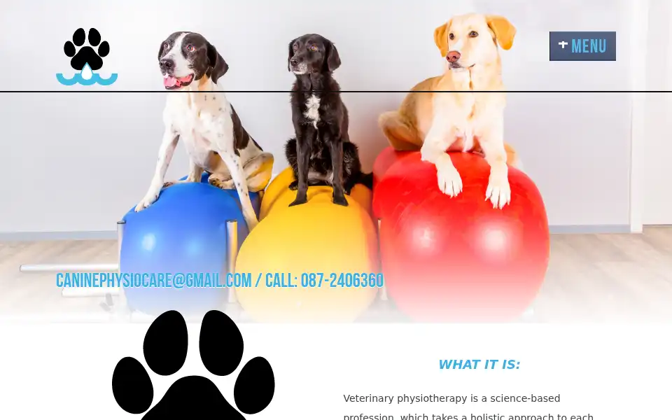 Screenshot of caninephysiocare.ie