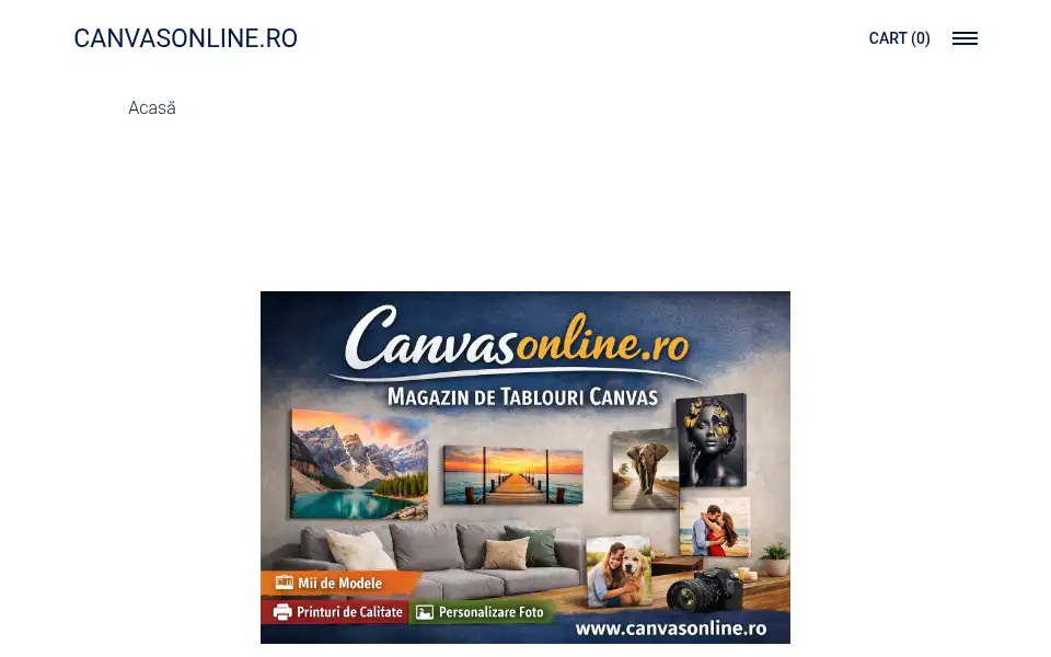 Screenshot of canvasonline.ro