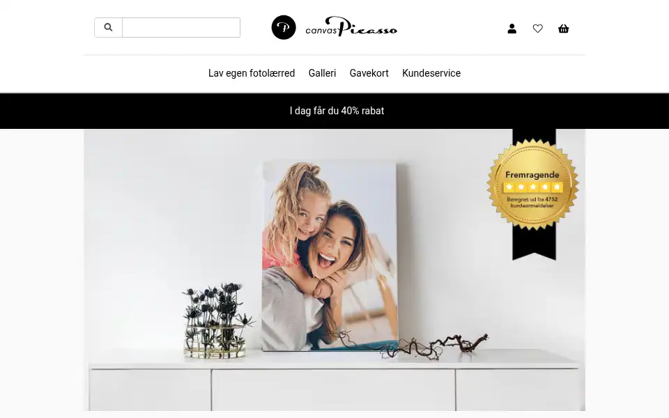 Screenshot of canvaspicasso.dk