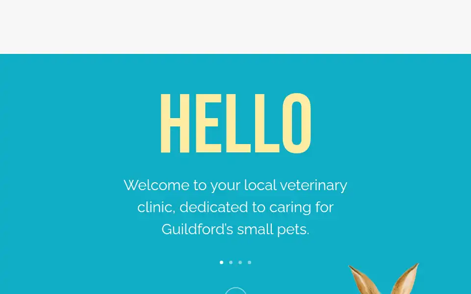 Screenshot of capevets.co.uk
