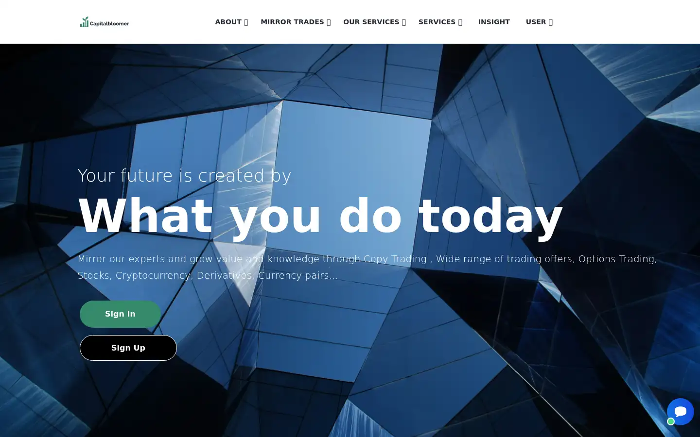 Screenshot of capitalbloomer.com