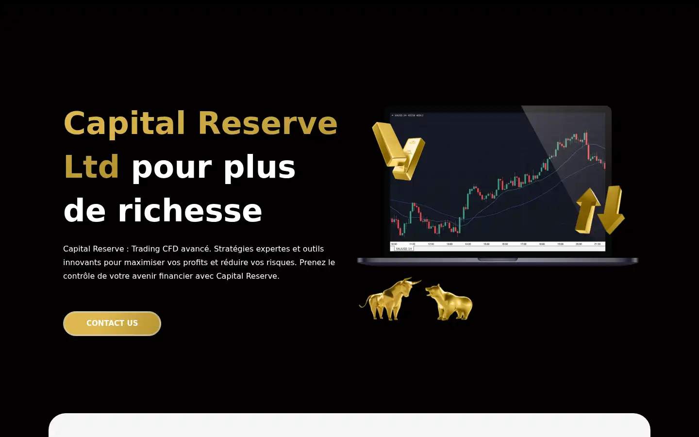 Screenshot of capitalreserveltd.com