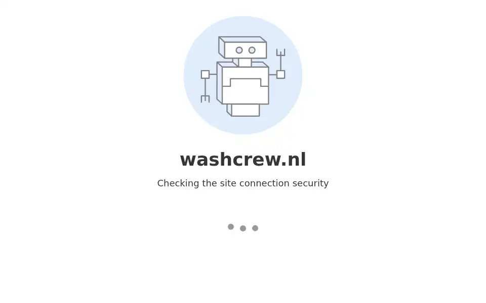 Screenshot of carcleaningamsterdam.com