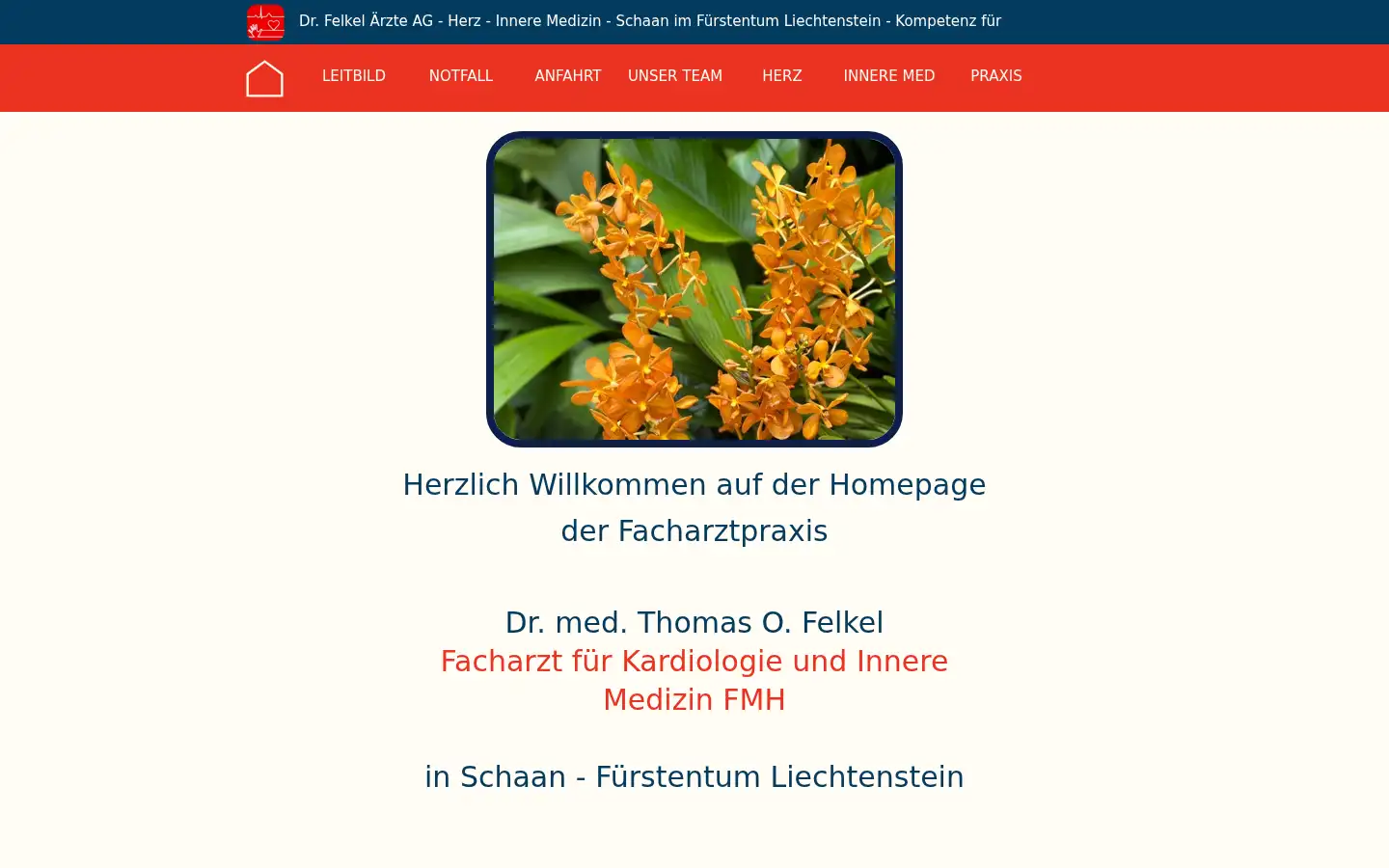 Screenshot of cardiology.li