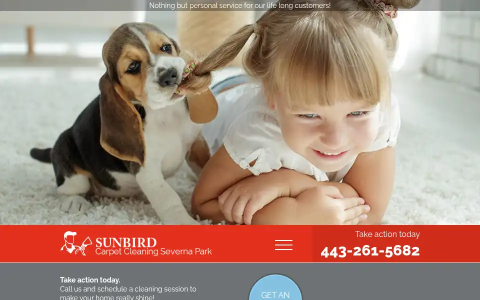 Screenshot of carpetcleaningsevernaparkmd.com