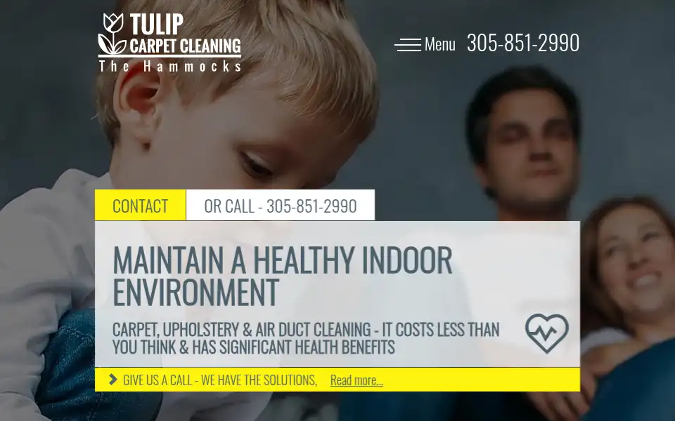 Screenshot of carpetcleaningthehammocks.com