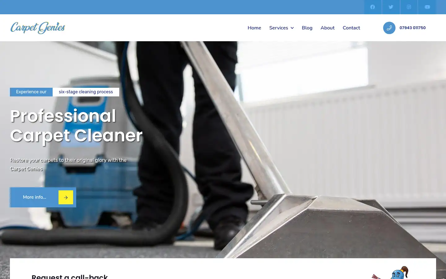 Screenshot of carpetgenies.co.uk