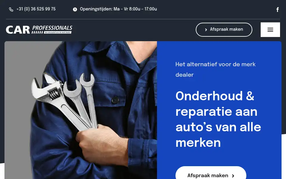 Screenshot of carprofessionals.nl