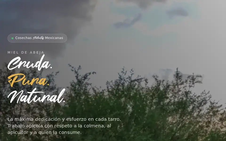 Screenshot of carretaverde.com