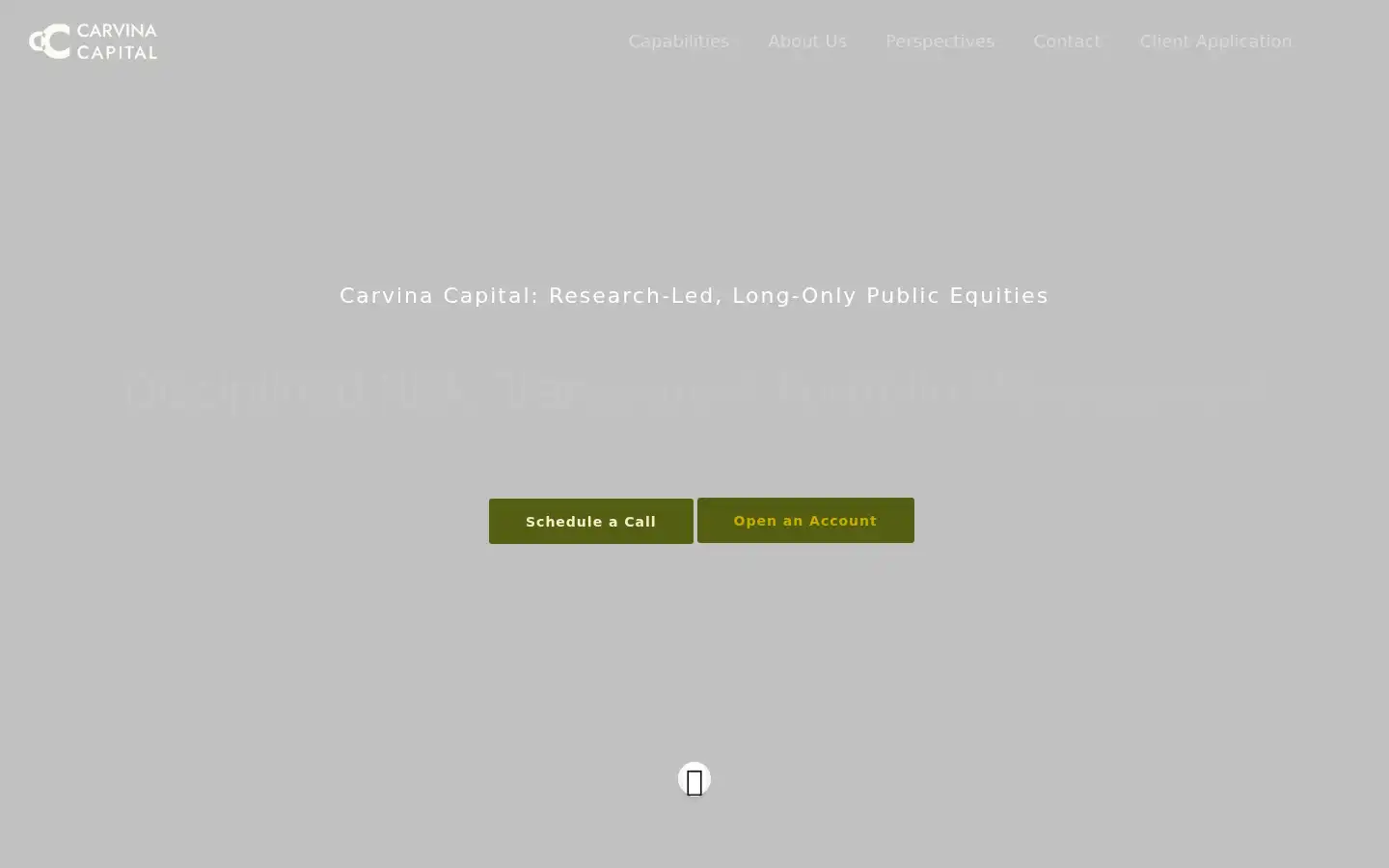 Screenshot of carvina.com